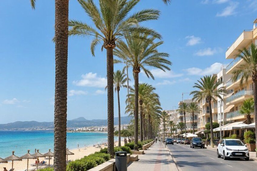 A coastal road lined with palm trees, a beach, and buildings. 4