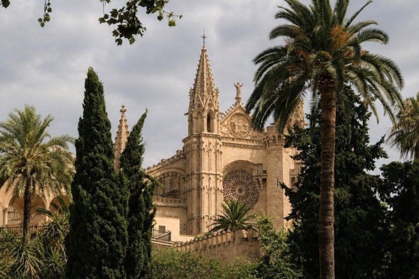 A cathedral with a tall spire, surrounded by palm trees and cypress trees. 5