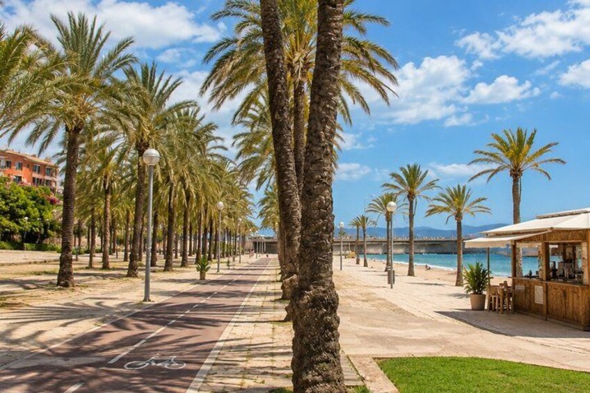 A seaside promenade lined with palm trees, a café, and a clear blue sky. 2