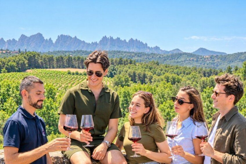 A group of people sitting outdoors with wine glasses, surrounded by a vineyard and mountains in the background. 4