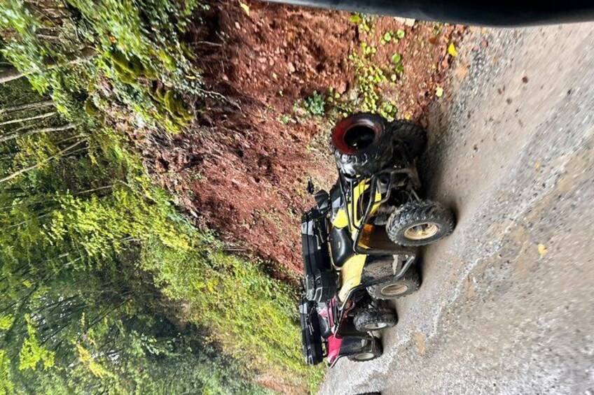 A vehicle on a narrow, unpaved road surrounded by dense greenery. 3