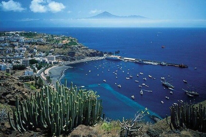 A coastal town with a clear blue sea, boats, and a prominent cactus plant. 3