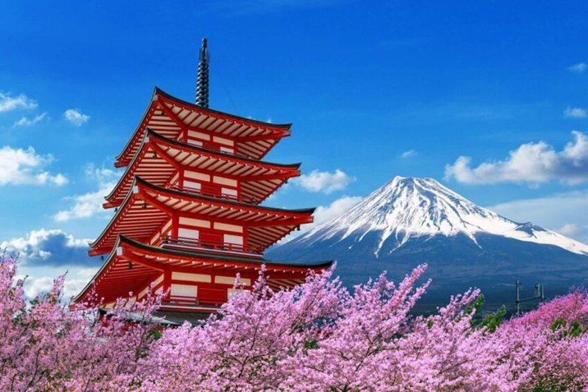 A red pagoda, snow-capped Mount Fuji, and cherry blossoms. 1