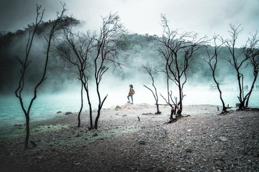 A person standing among leafless trees by a misty lake. 2