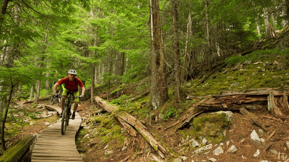 Una persona montando una bicicleta de montaña por un sendero de madera en un bosque. 2