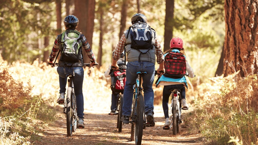 Un grupo de personas pedaleando en un sendero forestal. 3