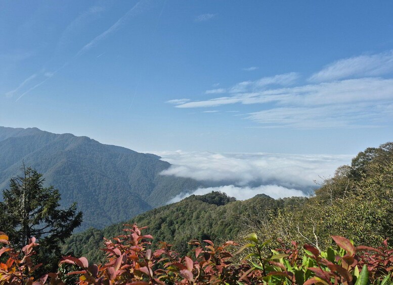 Un paisaje montañoso con un valle, bosque denso y cielo despejado. 2