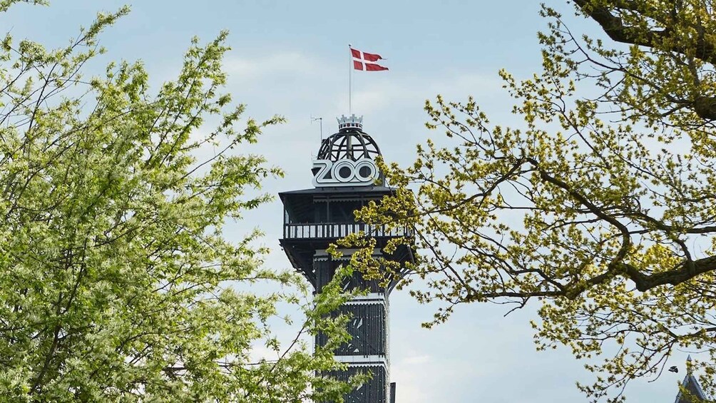 Copenhagen: Copenhagen Zoo Tower Entry Ticket 1