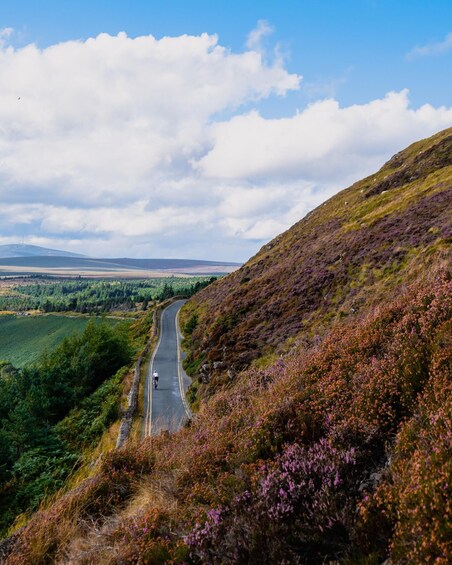 A winding road through a hilly landscape with heather and trees. 2