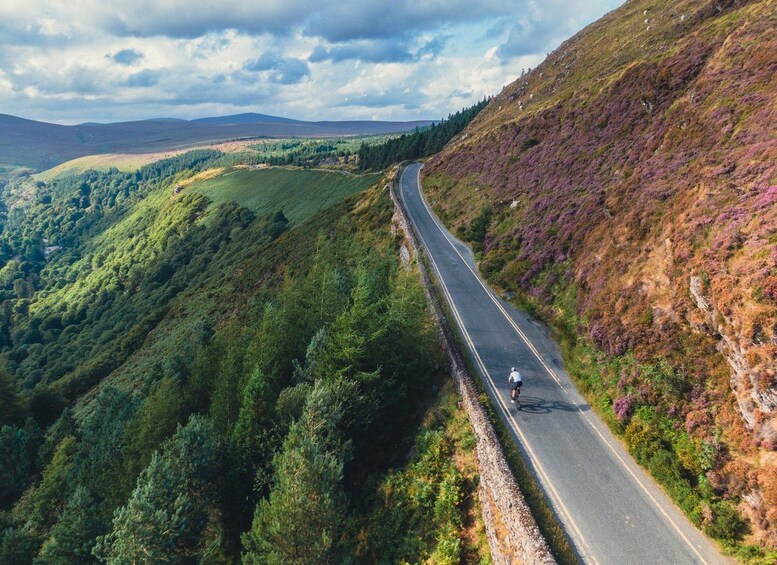 A winding road through a mountainous landscape with dense forests and purple heather. 1