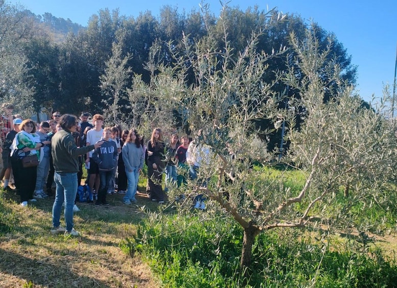A group of people gathered outdoors, standing in a natural setting with trees and grass. 2