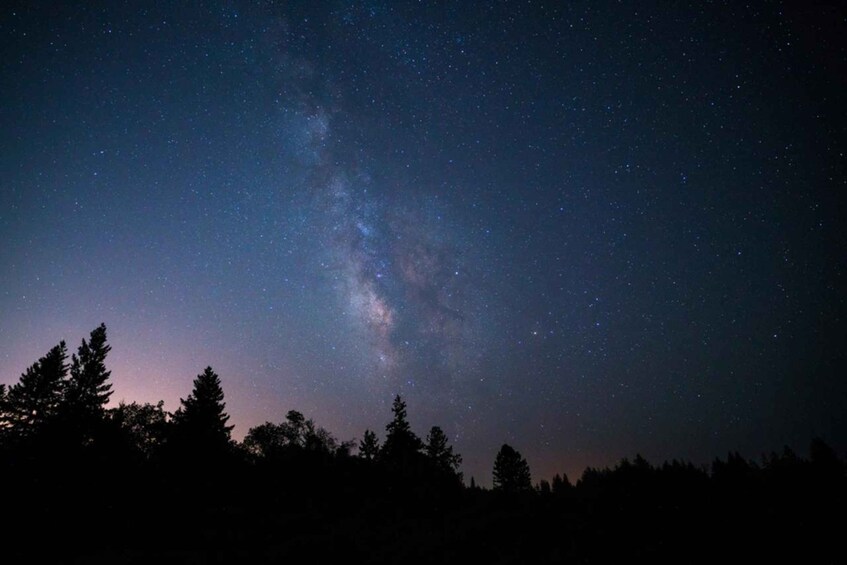 Un ciel nocturne étoilé où l’on peut distinguer la Voie lactée, des arbres se découpant en silhouette et un horizon dégagé. 1