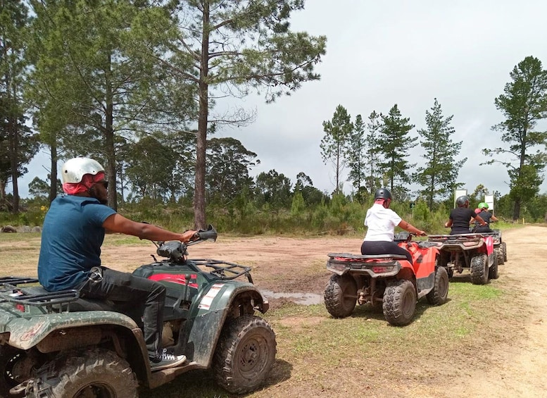 Quatre personnes sur des quads, sur un chemin de terre, avec des arbres en arrière-plan. 4