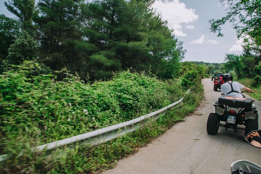 A narrow road with a metal guardrail, surrounded by dense greenery and trees. 4