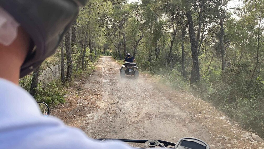 A person riding a quad bike on a dirt path surrounded by trees. 5