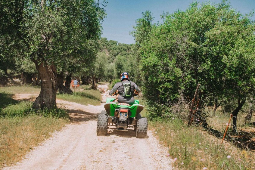 A person riding a green ATV on a dirt path surrounded by trees. 3