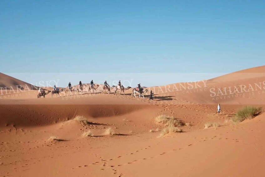 A group of people riding camels across a desert landscape with sand dunes. 4