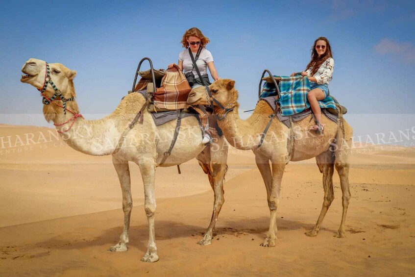 Two camels with riders in a desert landscape. 2