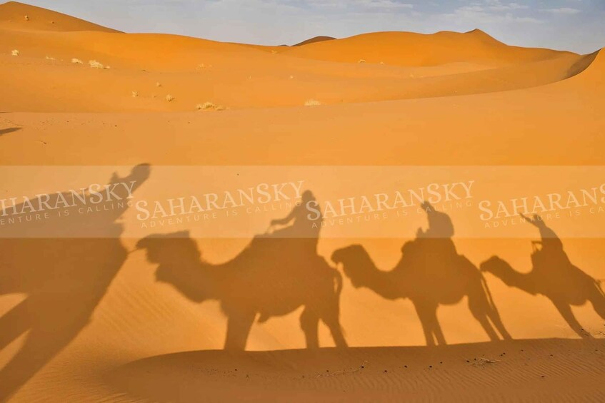 A desert landscape with sand dunes and the shadow of a camel caravan. 3