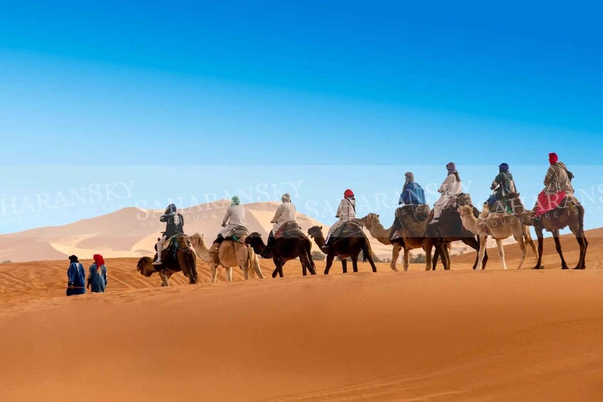 A group of people riding camels across a desert landscape with sand dunes in the background. 5