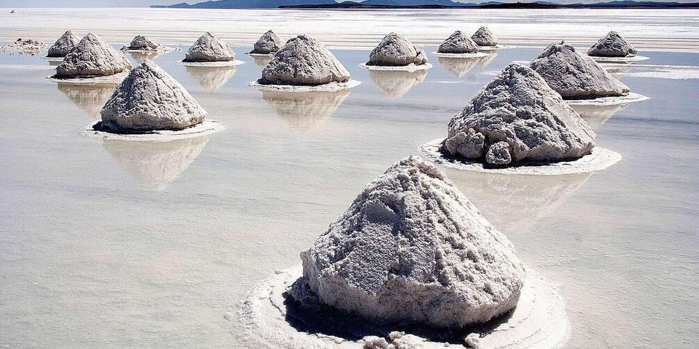 Une étendue de sel parsemée de grandes formations salines et où l'on peut observer de magnifiques reflets. 3