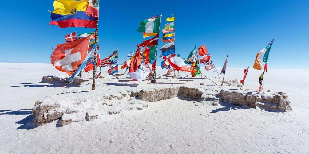 Un paysage enneigé où plusieurs drapeaux sont plantés dans le sol. 2