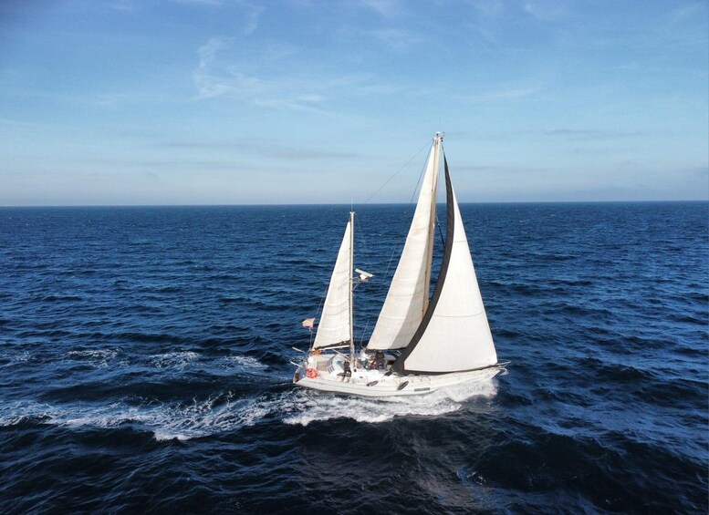 Ein Segelboot mit zwei Segeln auf offener See. 1