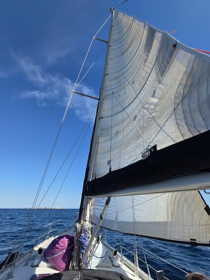 Eine Segelyacht mit großem Segel und mehreren Trilleinen. 2