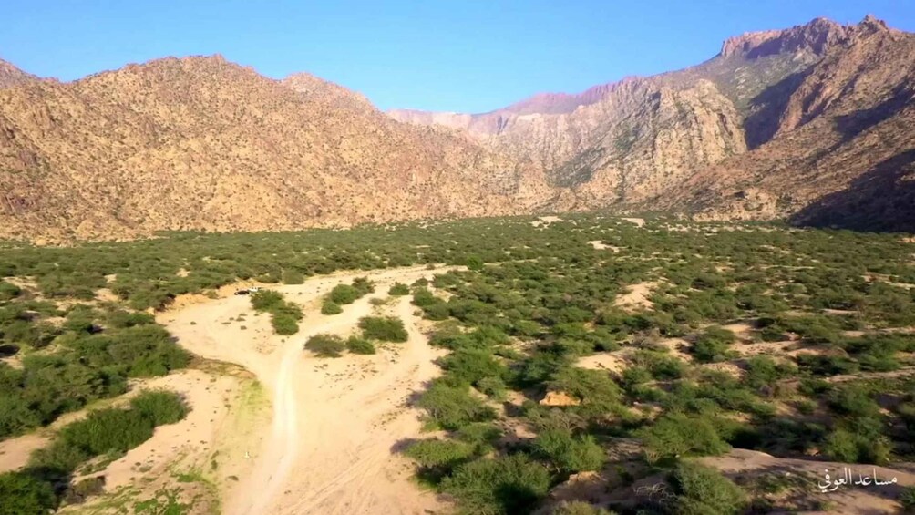 A desert landscape with sparse vegetation, a dirt path, and rugged mountains in the background. 3