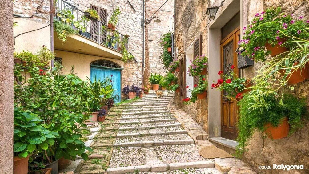 A narrow cobblestone street flanked by stone buildings with balconies, potted plants, and a blue door. 3