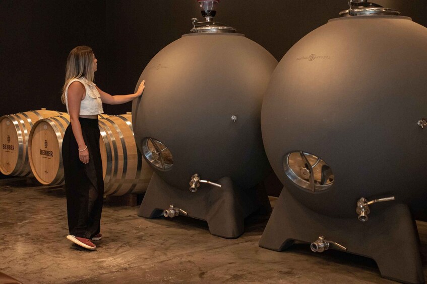 Une personne inspecte de grandes cuves cylindriques utilisées pour la fermentation dans une installation. 2