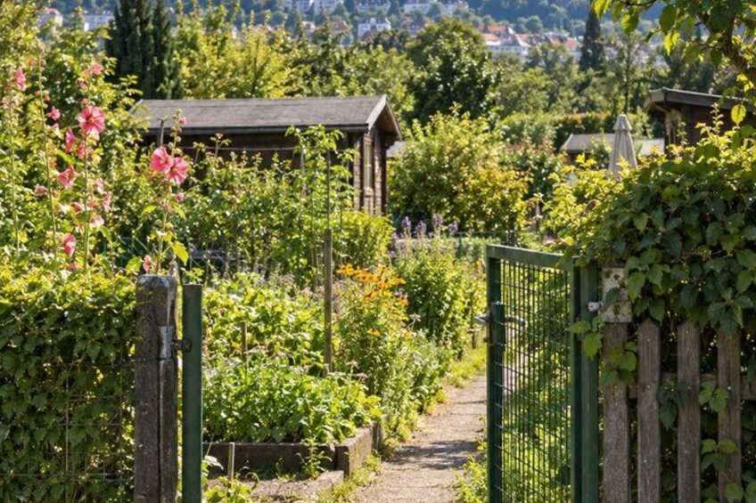 A garden with a wooden fence, a pathway, and a building in the background. 3
