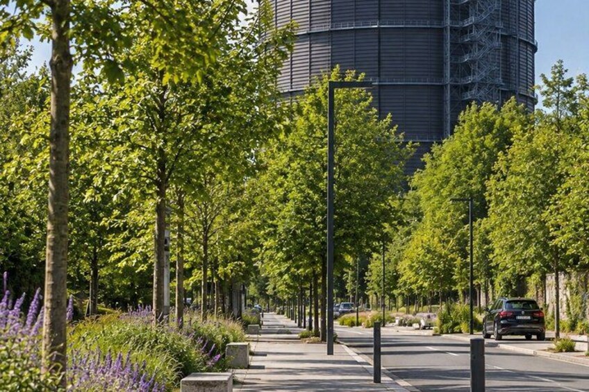 A tree-lined urban street with a modern building in the background. 2