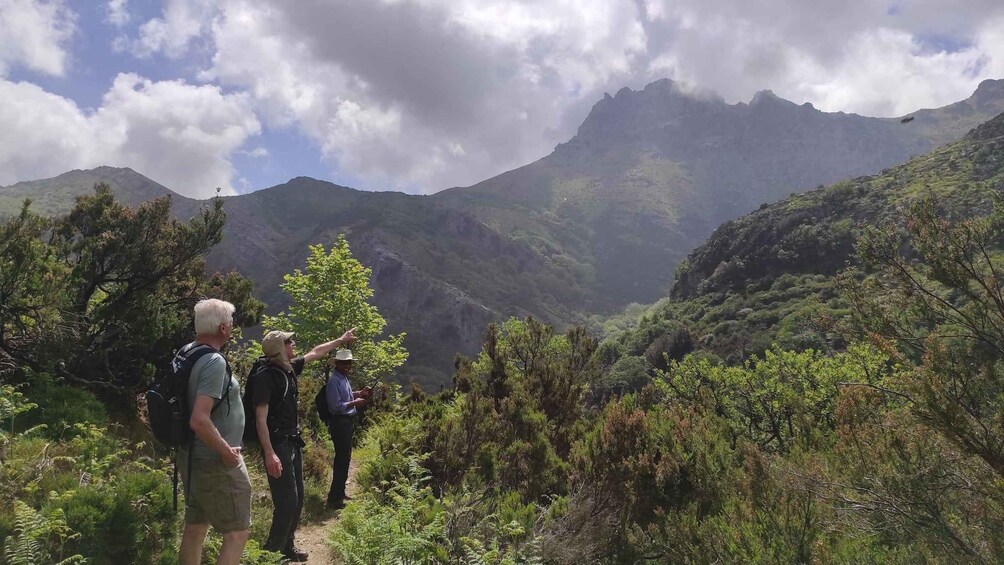 Picture 5 for Activity Dimosaris Gorge Guided Hike & Beach: Evia Private Tour 3