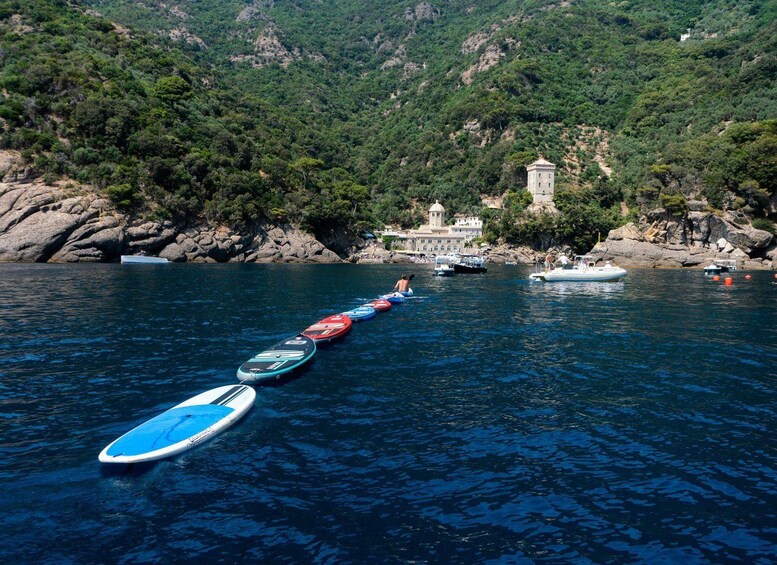 Una fila de tablas de remo alineadas sobre aguas tranquilas, una costa rocosa con vegetación y una pequeña estructura de torre a lo lejos. 5