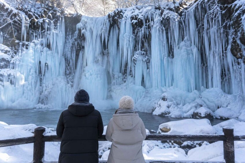 Two people standing by a frozen waterfall. 2