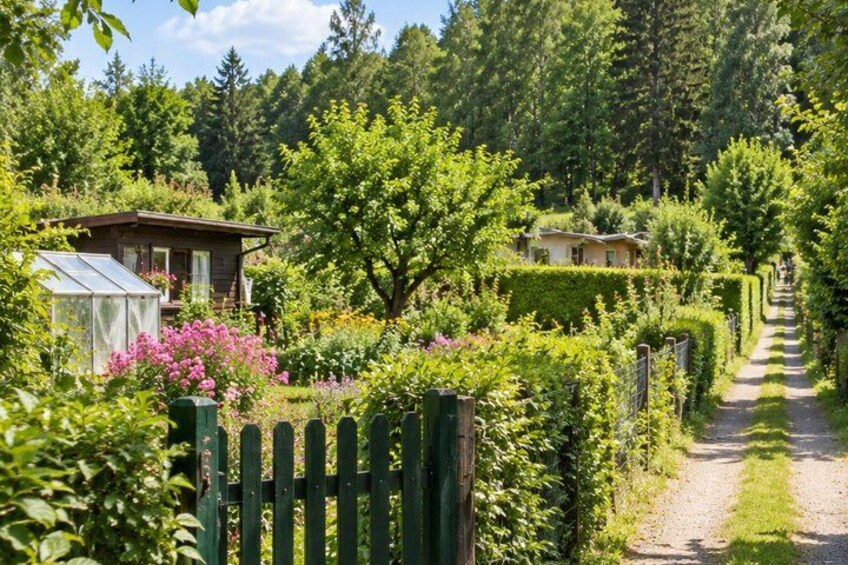 A garden with a wooden fence, a greenhouse, and a path leading through it. 5