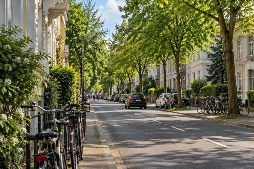 A tree-lined street with parked cars and bicycles. 3