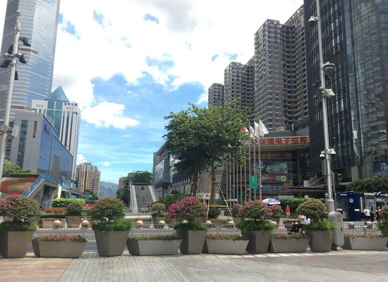 Una calle urbana con edificios modernos, un paso de peatones y macetas con flores. 2