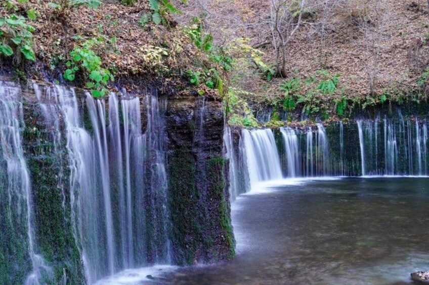 A waterfall cascading over a rocky ledge into a calm pool surrounded by greenery. 3