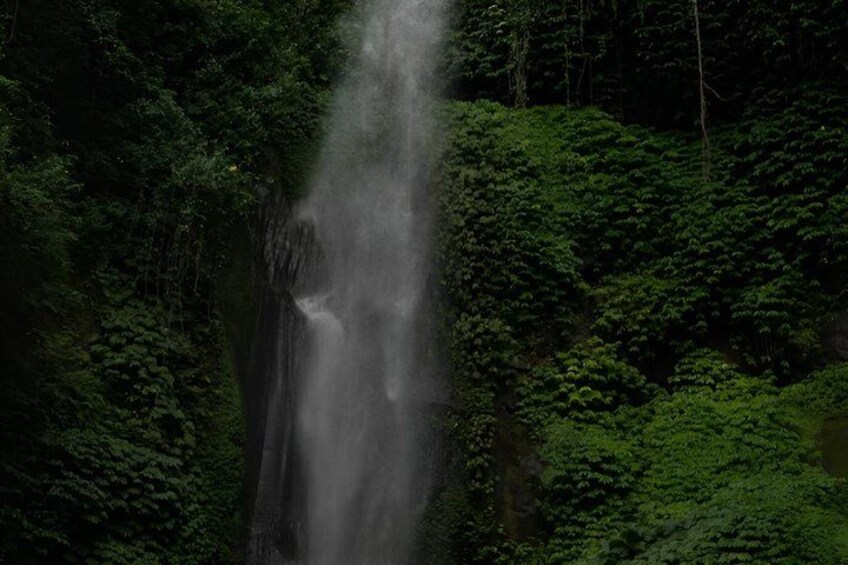 A waterfall surrounded by dense green foliage. 5