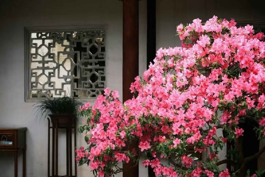 Un árbol de flores rosadas frente a un edificio tradicional con una ventana decorativa y un armario de madera. 1