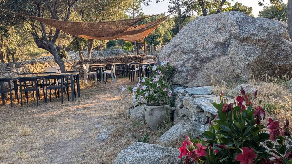 An outdoor dining area with tables and chairs, a large rock, and flowering plants. 5