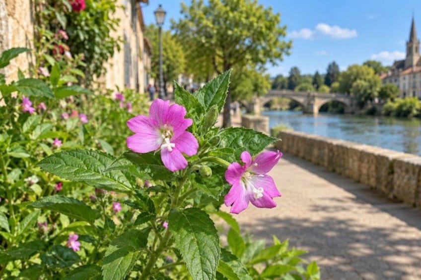 A river with a bridge, a stone wall, and buildings in the background. 3