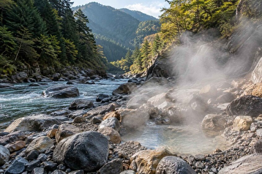 A river with rocks and steam rising from the water, surrounded by dense forest and mountains. 5
