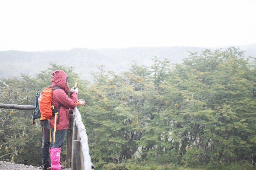 A person in a red jacket and pink boots standing on a rocky outcrop, overlooking a forested mountain range. 2