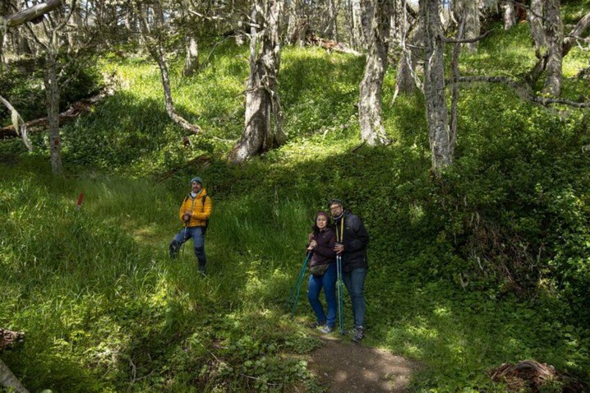 Two people hiking on a forest trail surrounded by trees and greenery. 4