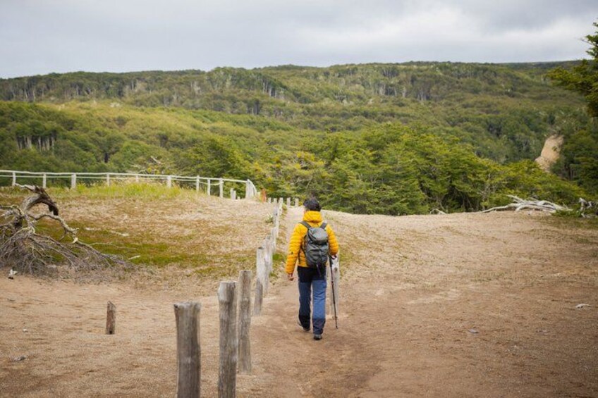 A hiker in a yellow jacket walking on a dirt path with a backpack, surrounded by a forested landscape. 1