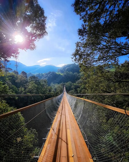 Un puente colgante con pasarela de madera, rodeado de un bosque denso y montañas al fondo. 4