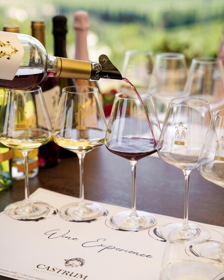 Un evento de degustación de vinos con varias copas sobre una mesa, algunas llenas de vino blanco y otras de vino tinto. 3